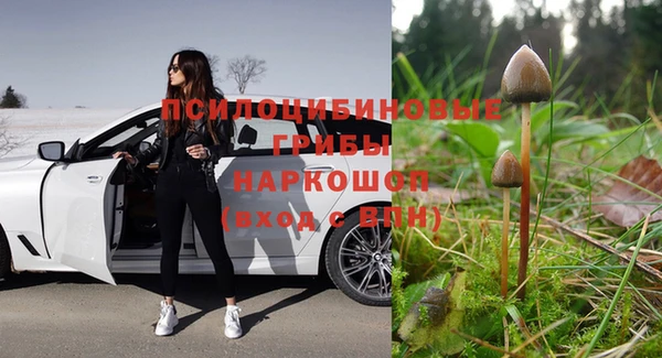 метадон Армянск