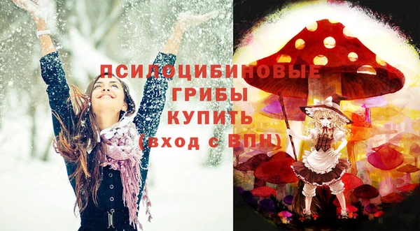 прущая мука Аркадак