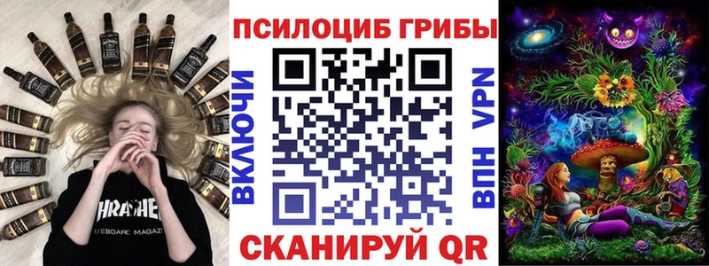 Купить где  Новая Ладога  Псилоцибиновые грибы Cubensis 