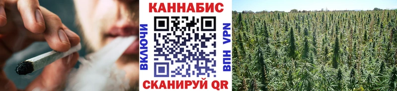 МАРИХУАНА ГИДРОПОН  Купить закладки  Новая Ладога 